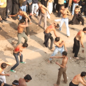 Conmemoración de la Ashura en Delhi. 2010