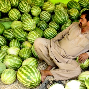 Vendedor de melones en el valle de Panjshir, Afganistán. 2011